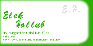 elek hollub business card